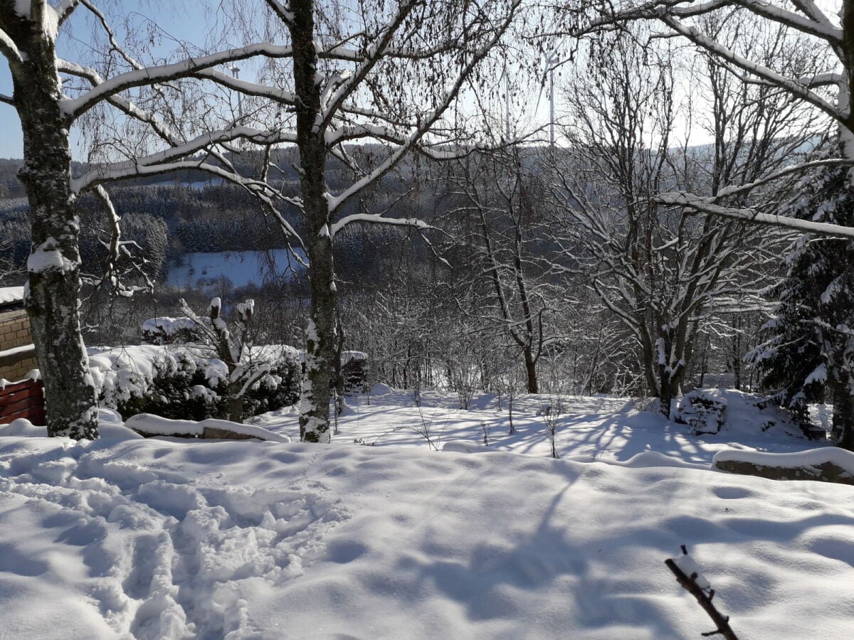 Garten im Winter