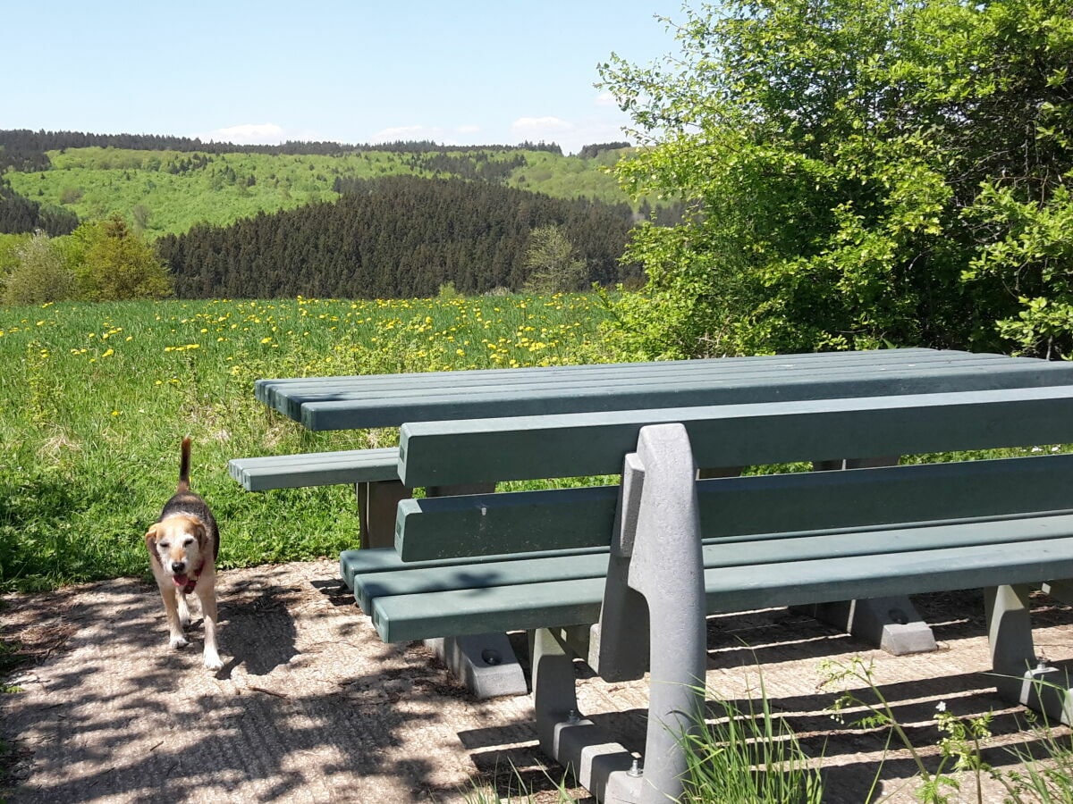 Wandern rund um Grimburg