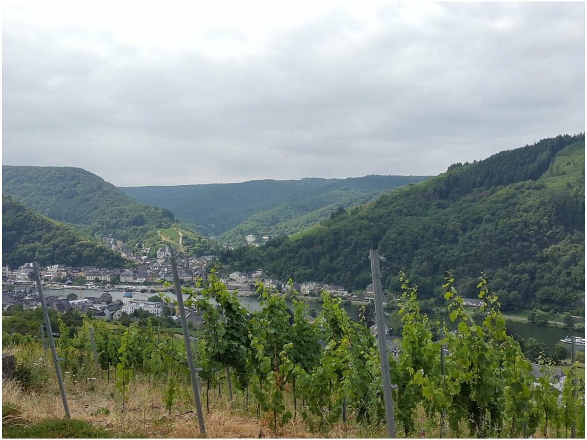 Ausflüge in die Weinregionen Mosel, Saar und Nahe...