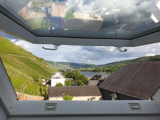 Mosel