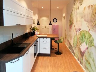 Holiday apartment Dresden-Plauen Features 5