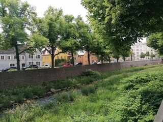 Surroundings