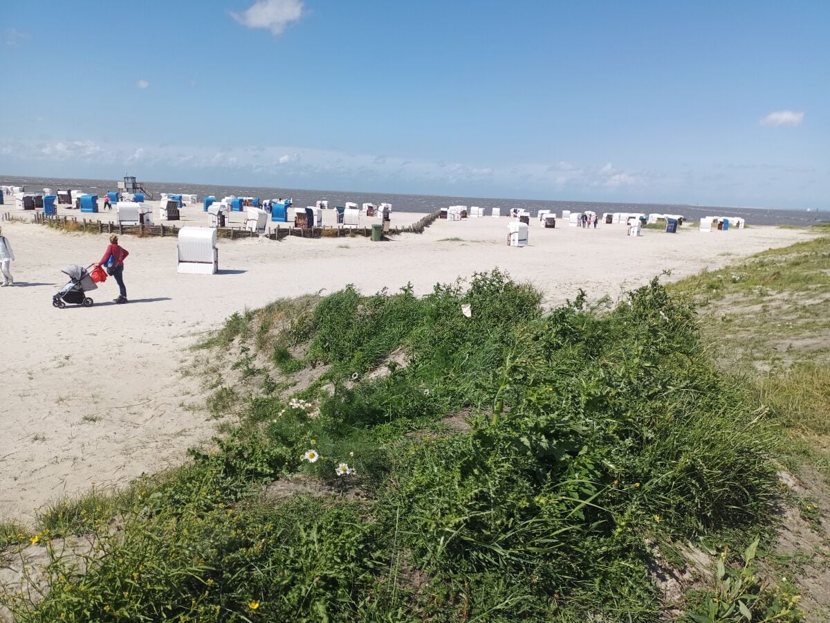 Strand am Wattenmeer