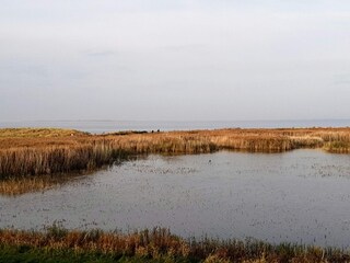 Holiday apartment Wiarden Environment 33