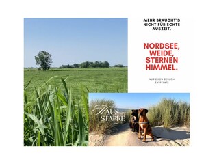 Holiday apartment Wiarden Outdoor Recording 6