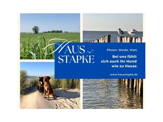 Holiday apartment Wiarden Outdoor Recording 7