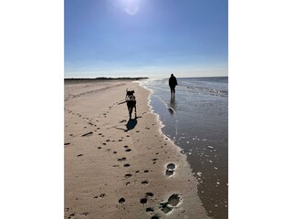 Holiday apartment Wiarden Environment 38