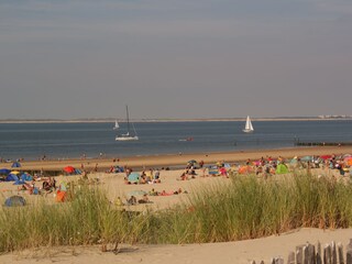 Appartamento per vacanze Nieuwvliet Ambiente 11