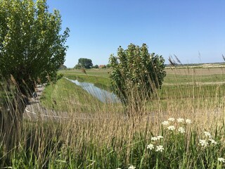 Appartamento per vacanze Nieuwvliet Ambiente 12