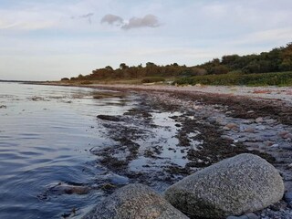 Ferienhaus Veddinge  39