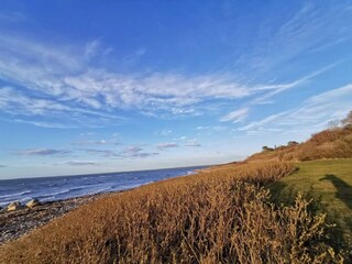 Ferienhaus Veddinge  40
