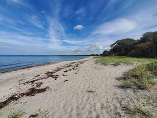 Vakantiehuis Veddinge  29