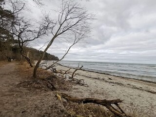 Ferienhaus Veddinge  22