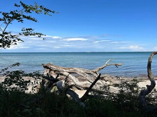 Ferienhaus Veddinge  46