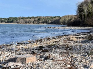 Ferienhaus Veddinge  12