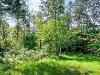 Casa de vacaciones Nykøbing Sjælland  6