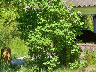 Vakantiehuis Nykøbing Sjælland  22