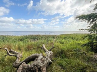 Vakantiehuis Stavreby Buitenaudio-opname 1