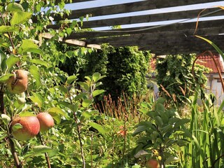 Casa per le vacanze Idestrup  14