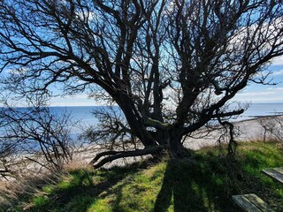 Casa de vacaciones Idestrup  20