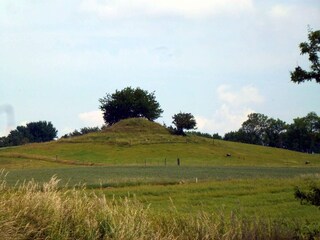 Vakantiehuis Vellerup  32