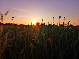 Casa de vacaciones Vellerup  14