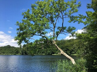 Maison de vacances Vellerup  40