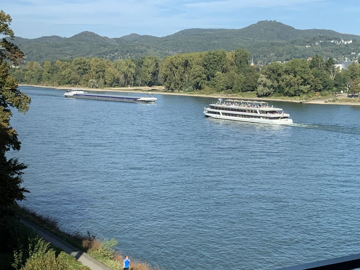 Blick vom Küchenfenster