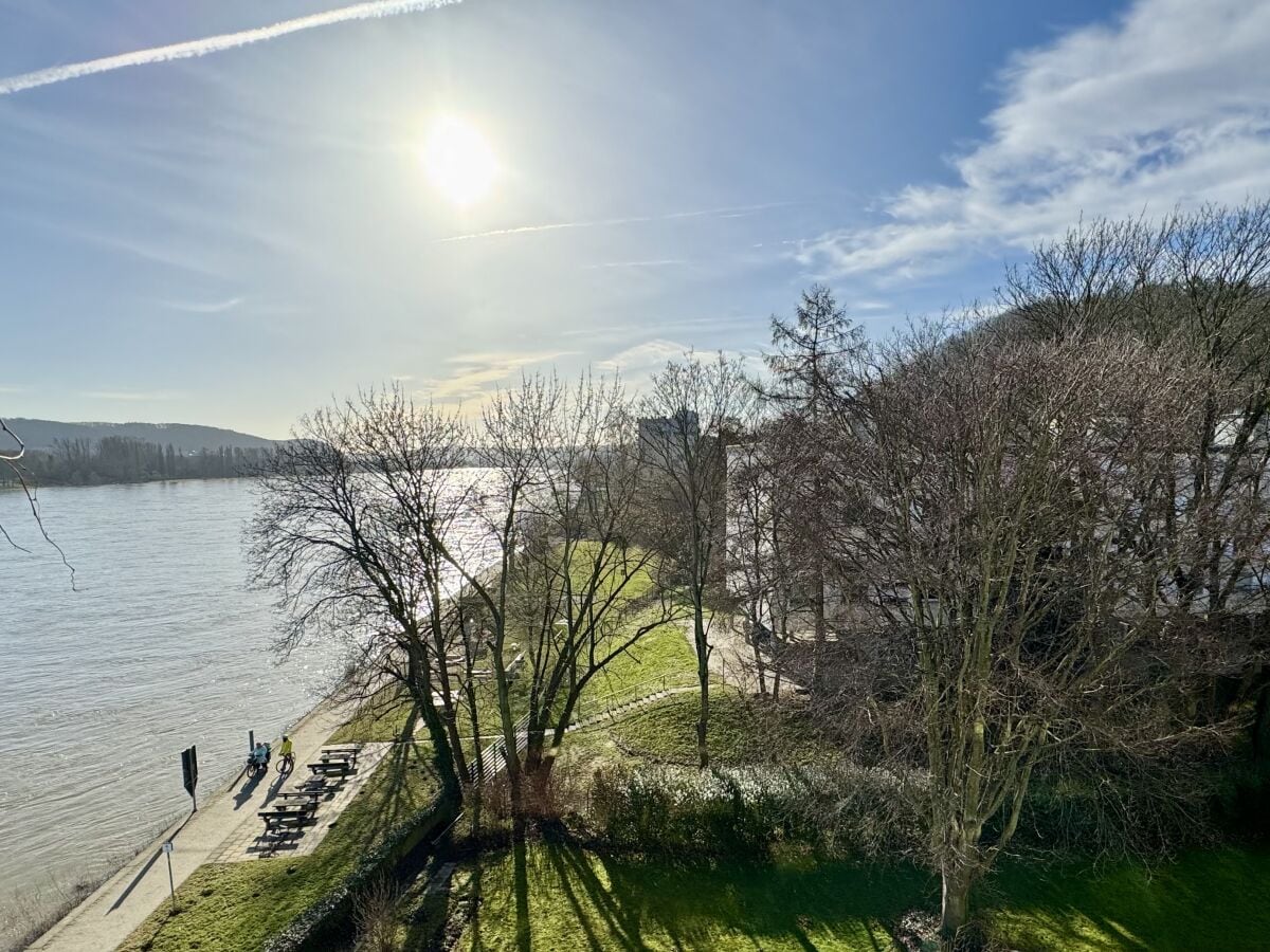 Ausblick vom Balkon im Frühjahr