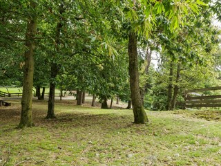 Type de propriété : Ferme Cambiasca Enregistrement extérieur 8
