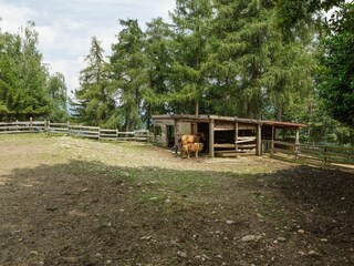 Type de propriété : Ferme Cambiasca  34