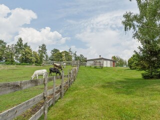 Boerderij Cambiasca  34