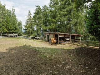 Bauernhof Cambiasca  40