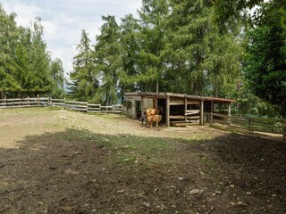 Farmhouse Cambiasca  38