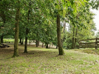 Bauernhof Cambiasca Außenaufnahme 4