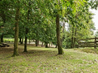 Bauernhof Cambiasca Außenaufnahme 6