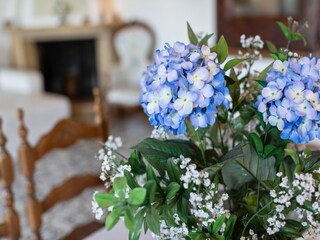 Villa Torri del Benaco  37