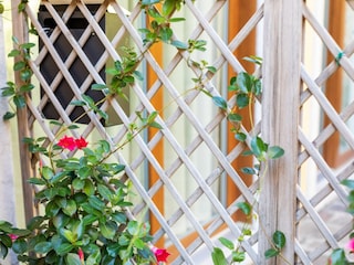 Apartamento Torri del Benaco  35