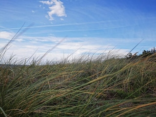 Ferienhaus Hyldtofte  25