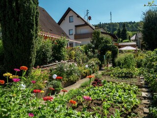 Appartement Fischerbach Buitenaudio-opname 5