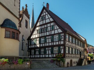 Apartment Fischerbach Umgebung 40