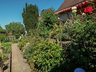 Appartement Fischerbach Enregistrement extérieur 8