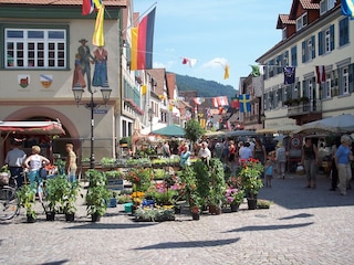 Apartment Fischerbach Umgebung 35