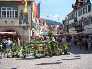Apartment Fischerbach Umgebung 36