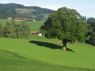 Blick aus dem Schlafzimmer