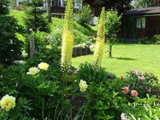 Blumenwelt