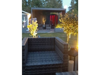 Blick in den Garten