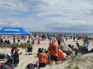 Aktionsstrand  Volleyballtunier