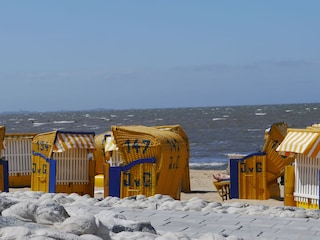 Strandkörbe am Sandstrand von Duhnen