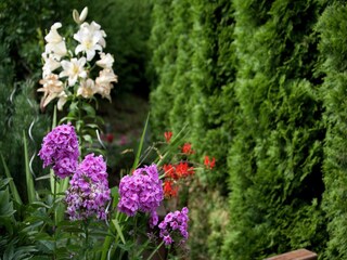 Apartamento Wagrain  25